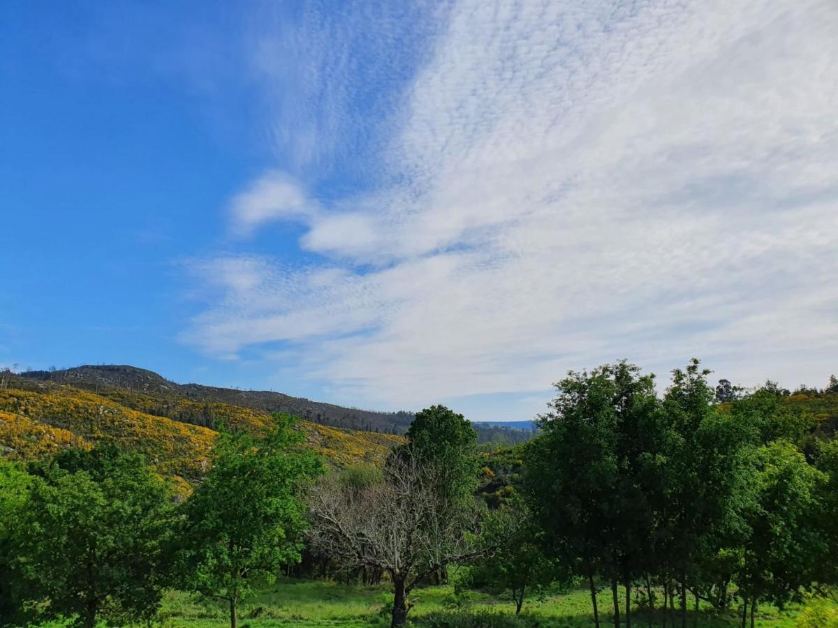 Quinta De Cerdeiro *