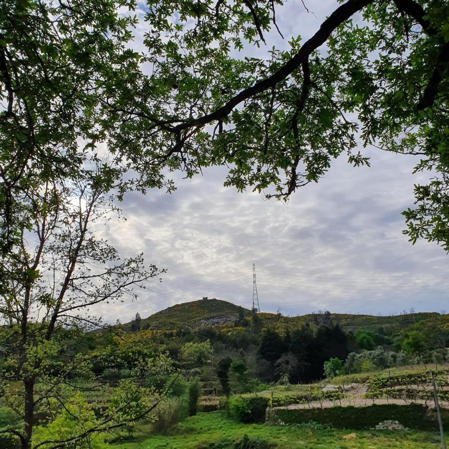 Quinta De Cerdeiro Farm stay *