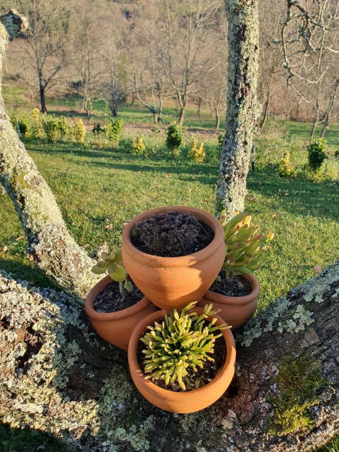 Quinta De Cerdeiro * Moes